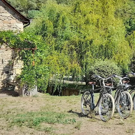 La Grange Du Colombier - Geniez D'olt Et D'aubrac *